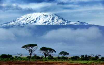 Bioenergy Ribose makes the Mount Kilimanjaro climb with Dr. Maroon