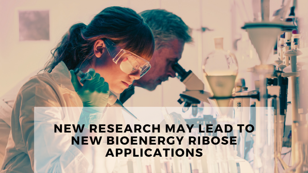 New research may lead to new Bioenergy Ribose applications - Bioenergy ...